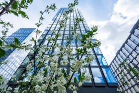  LIFE TIME Residential Complex