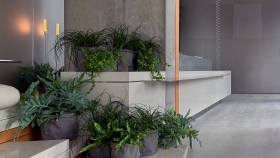 Фотографии Лобби Logos