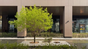 Фотографии инфраструктуры Soho+Noho Residential Complex