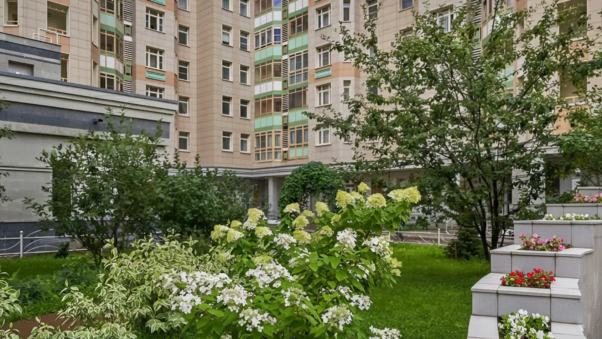 Серебряное Небо — пентхаус в ЖК «Доминион», 19 этаж — ЖК: инфраструктура