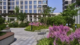 Фотографии инфраструктуры Island