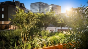 Фотографии инфраструктуры High Life Residential Complex Фотографии инфраструктуры High Life Residential Complex