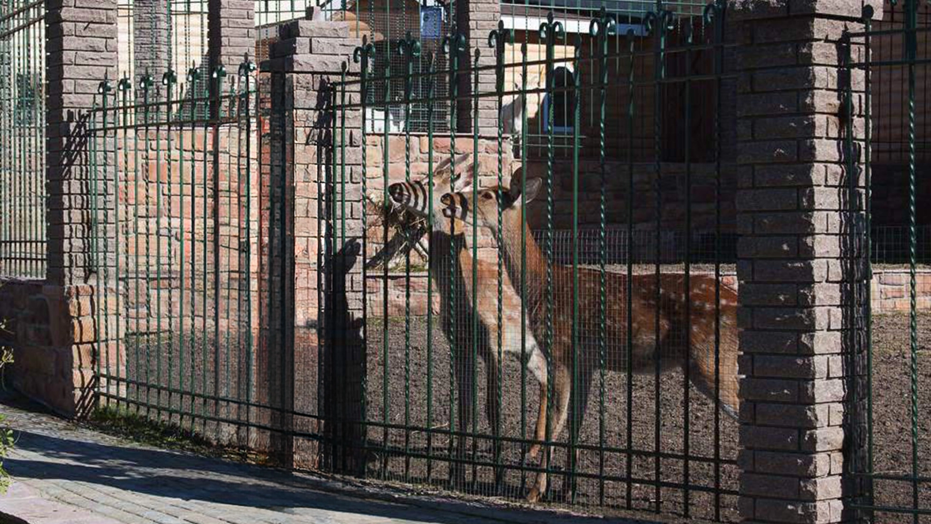 Фотографии интерьеров Посёлок «Княжье Озеро»