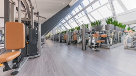 Фотографии  Nikolino