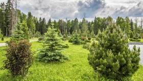 Фотографии архитектуры Посёлок «Азарово»