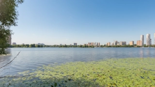 фото_0005_Слой 6