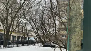 Фото_0002_Слой 1