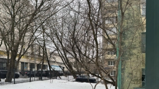 Фото_0002_Слой 1