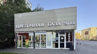 Фото_0002_Слой 4