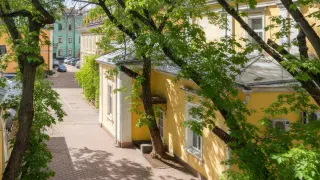 Фото_0003_Слой 1