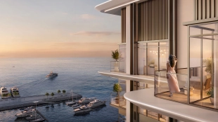 Marina Views