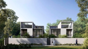 Robinia
