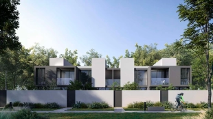 Robinia