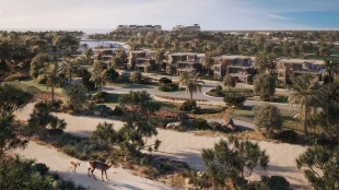 Jacob & Co. Beachfront Living by Ohana