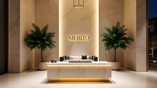 Merito