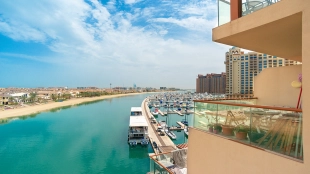 Palm Views