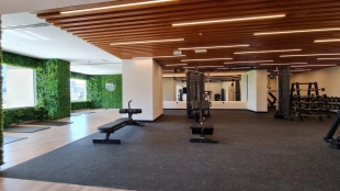 Elite Downtown Residence