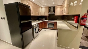 Elite Downtown Residence