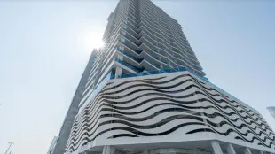 The Waves