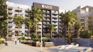 Beach Oasis