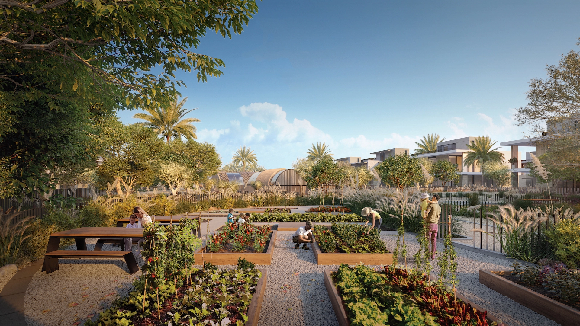 Farm Gardens