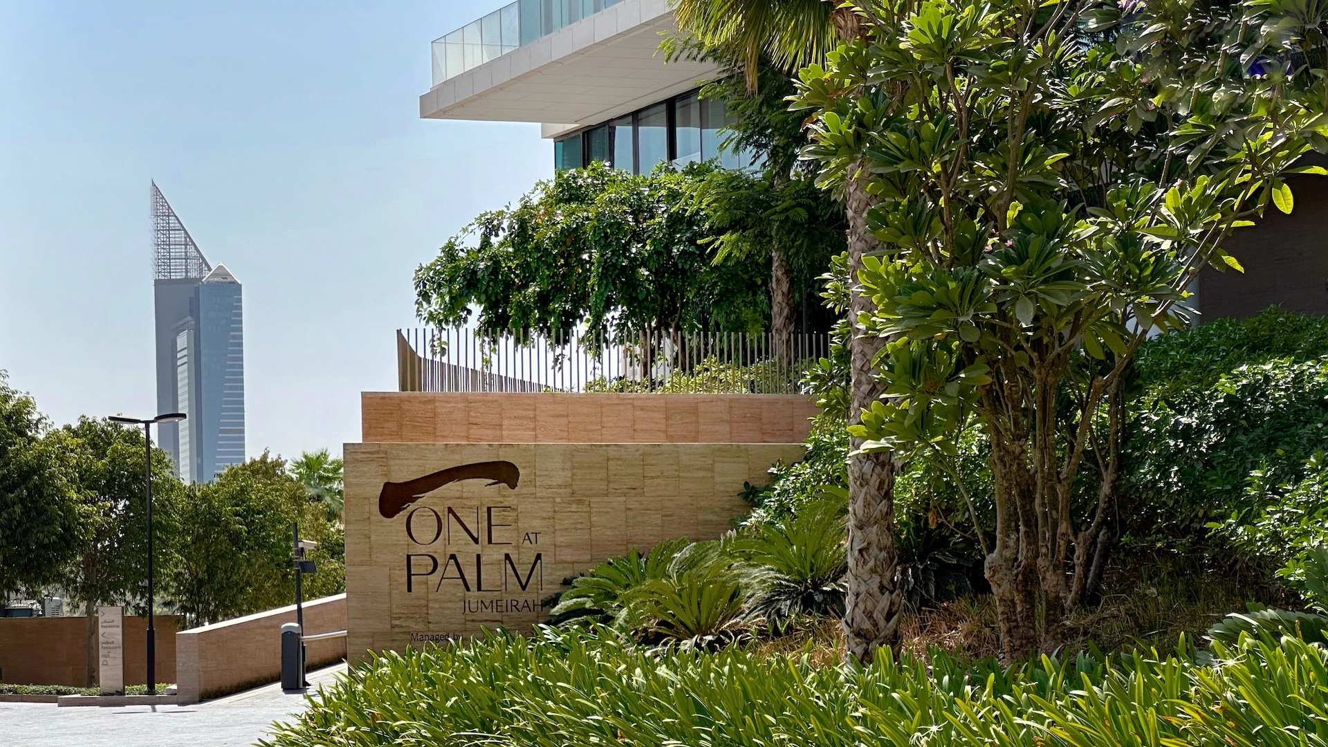One Palm