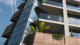 Vista 3