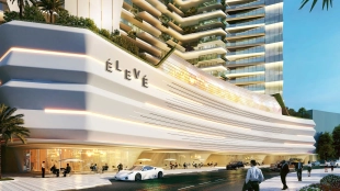 Eleve