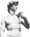 david