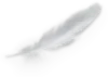 feather