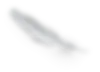 feather