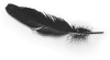 feather