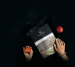 complex_catalog