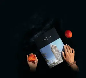 complex_catalog