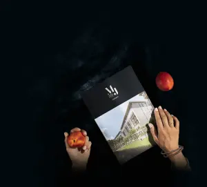 complex_catalog