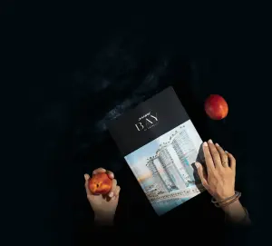 complex_catalog