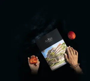 complex_catalog