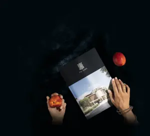 complex_catalog