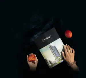 complex_catalog