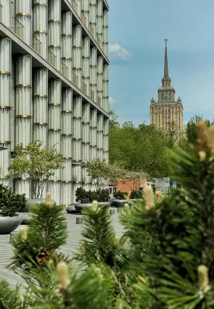 Crystal Forest at Kutuzovsky