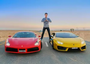 Year in Review. Whitewill life in numbers