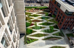 Сладкий дом «Реномэ»