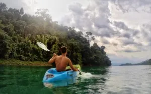 Whitewill deals in December. New record