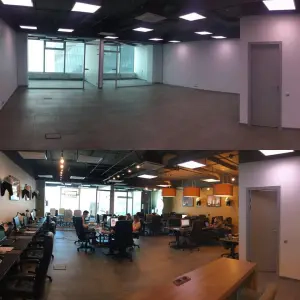 Whitewill is in need of project managers