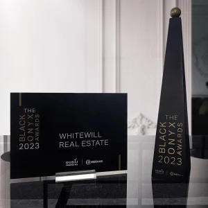 Награды Whitewill — лучшие по продажам проектов «Мераас» в 2022