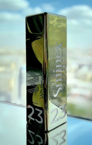 First place in project sales by Sminex