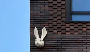 "Zilart" - a project that knows how to surprise