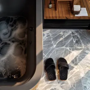 Aesthetic apartments: Oleg Torbosov's idea for luxury penthouse for sale