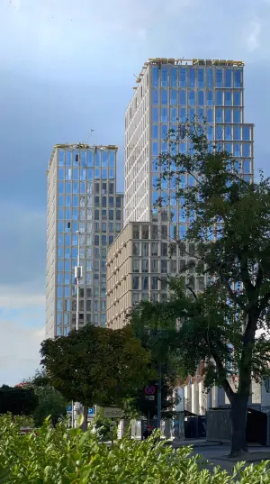 A moment in the life of Lucky