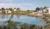 render
